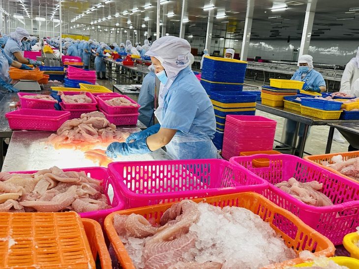 Bộ Công Thương 'lấy làm tiếc' khi Mỹ không công nhận Việt Nam là nền kinh tế thị trường- Ảnh 1. Chế biến thủy hải sản xuất khẩu sang Mỹ - Ảnh: THẢO THƯƠNG
