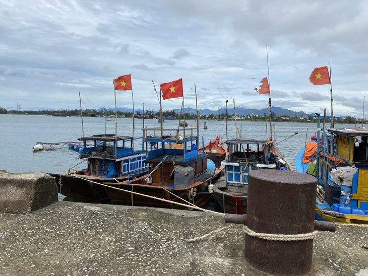 cang-ca-song-tra-bong-quang-ngai-ban-quan-ly-cang-ca-dung-quat-tran-mai-1-1726120325752578777760 Cảng cá gần 185 tỉ đồng, 12 năm khai thác có 0 tấn hải sản qua cảng - Ảnh 1.