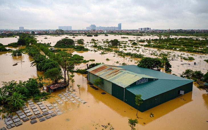 Cảnh báo lừa đảo khi kêu gọi quyên góp, thông tin sai sự thật về bão lũ - Ảnh 1. Cảnh báo lừa đảo khi kêu gọi quyên góp, thông tin sai sự thật về bão lũ - Ảnh 1.