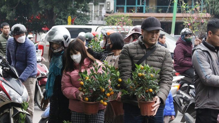Nhiều người dân chỉ lựa chọn quất mini có giá phải chăng để trưng trong ngày Tết - Ảnh: DƯƠNG LIỄU Nhiều người dân chỉ lựa chọn quất mini có giá phải chăng để trưng trong ngày Tết - Ảnh: DƯƠNG LIỄU