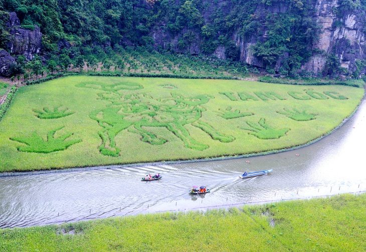 Bức tranh tuổi thơ mục đồng thổi sáo trên cánh đồng lúa Tam Cốc - Ảnh: Sở DL Ninh Bình Bức tranh tuổi thơ mục đồng thổi sáo trên cánh đồng lúa Tam Cốc - Ảnh: Sở Du lịch Ninh Bình